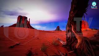 Haline Şükret Radyo Ekranı İlk Tv I