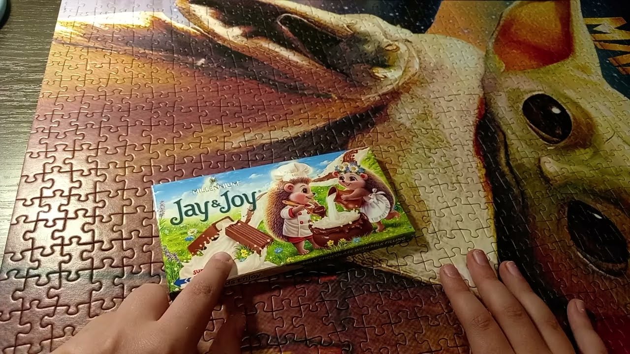 Распаковка шоколадки "MILLENNIUM" JAY&JOY