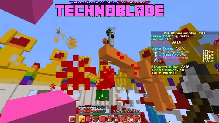 TapL and Technoblade have a Duel in Sky Battle