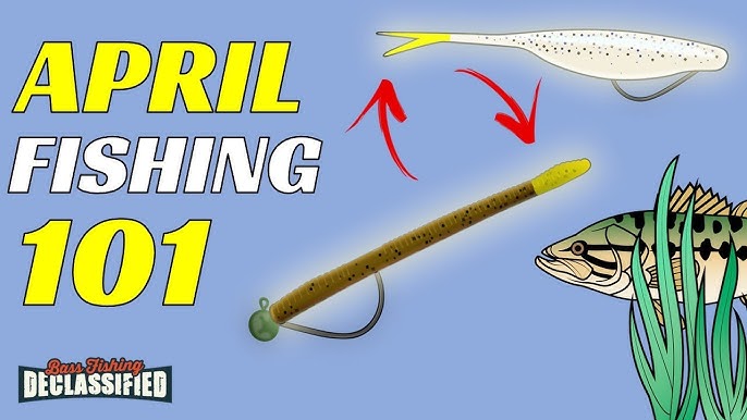 Everything You Need To Know About Fishing A Senko In The Spring