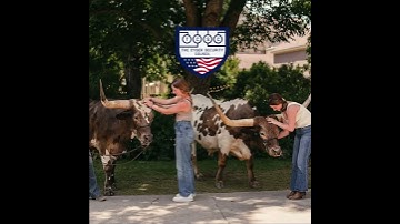 Hype Video - Upcoming The Cyber Security Council Annual Conference - Nov 2025