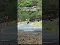 Ytshorts Motovlog Youtubeshorts Shorts Shortsvideo Viralvideo Video Ytshorts Motovlog Youtubeshorts Shorts Shortsvideo Viralvideo Video