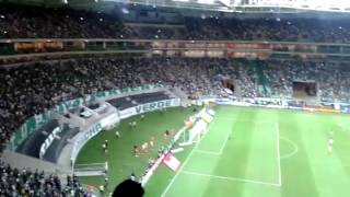 Ole Porco Ole Porco 2015