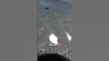 DayZ Tips and Tricks number 122 #wet #dry #tips #official #tricks #gaming