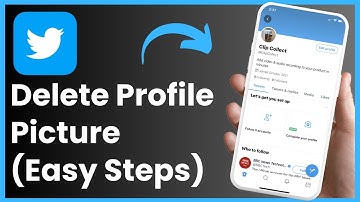 How to Delete Twitter Profile Picture !
