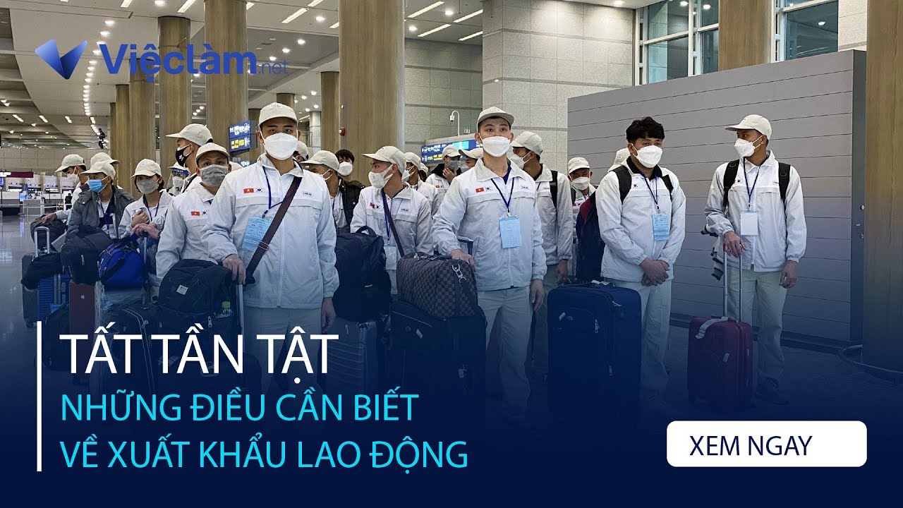 Danh Sách 8 Công Ty Xuất Khẩu Lao Động Uy Tín Bậc Nhất TP.HCM: Góc Nhìn Từ Chuyên Gia