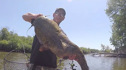 Targeting BIG Flathead Catfish - Catching My Personal Best Flathead Catfish - Daytime Flathead