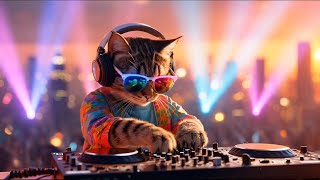 Mumbai Chill House Party  Dj Miaww Rooftop Mix  Smooth Grooves U0026 City Night Vibes