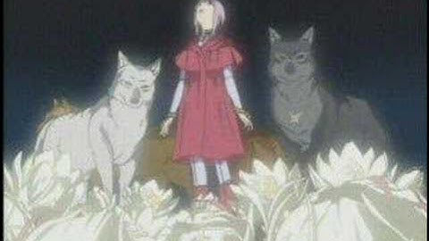 Wolf