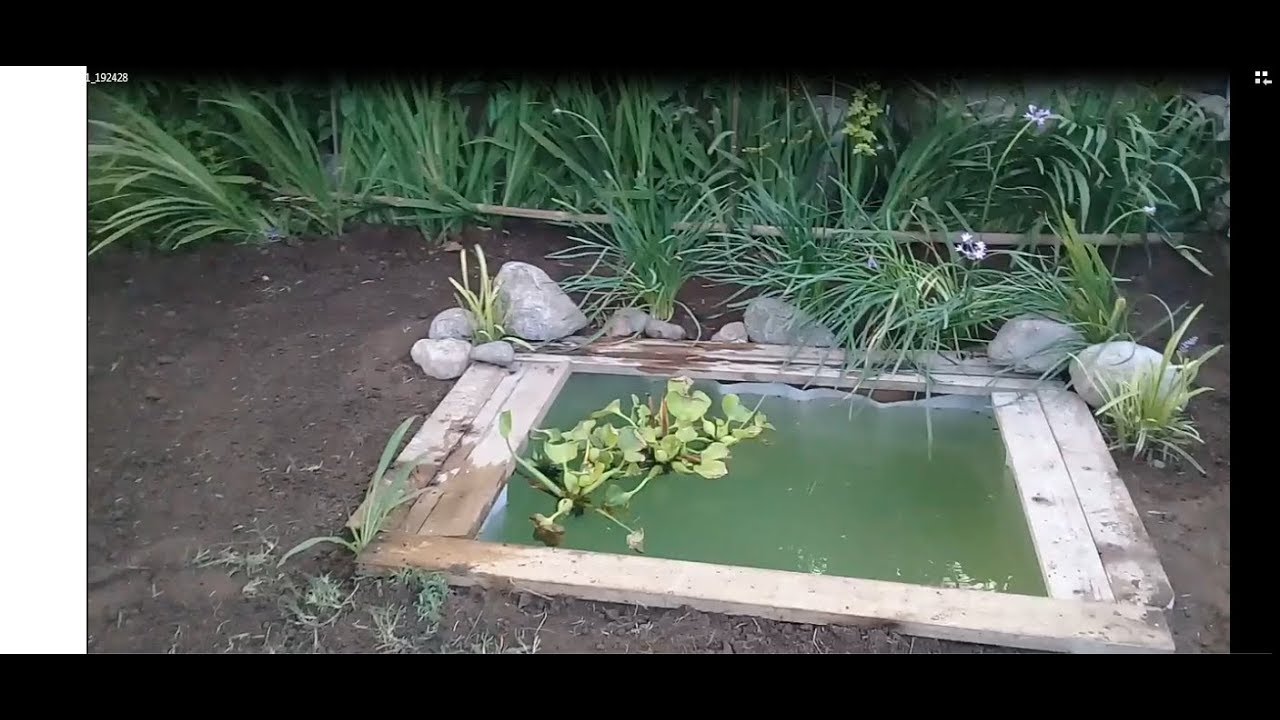 COMO HACER UN ESTANQUE PARA PECES CASERO FACIL DE HACER YouTube