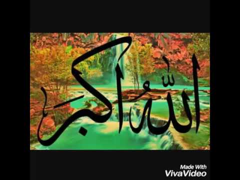 المولد المبتدع والمولد المستحب خالد على القارحي