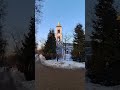 царицыно москва март 24 года