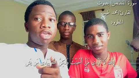 إِنَّكَ لَا تَهْدِى مَنْ أَحْبَبْتَ|بصوت القارئ محمد طيب المطرود