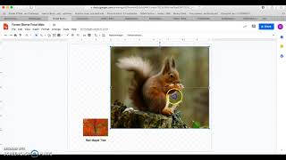Creating a Food Web on Google Drawings screenshot 2