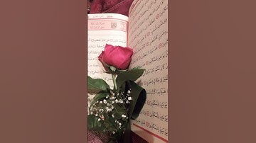 سوره النبأ بصوت الشيخ االشريم 🙌🏻🕌❤️🙏📿🌹 #القران #اكسبلور #لايك