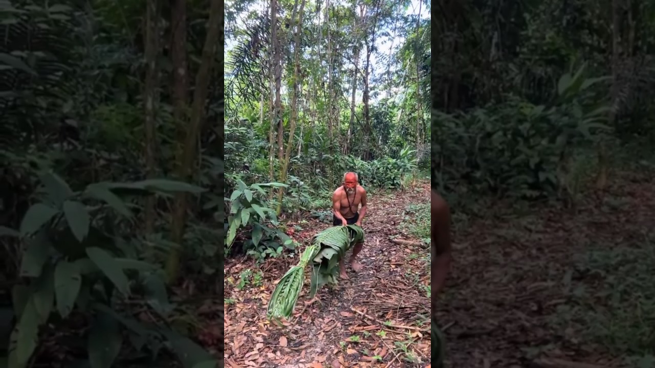 A Tribe That Hunts Animals Using Fake Creatures Made of Leaves! 😲 