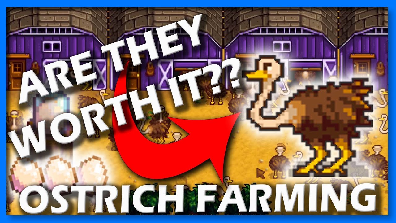 Stardew Valley OSTRICHES How to get them and are they worth it