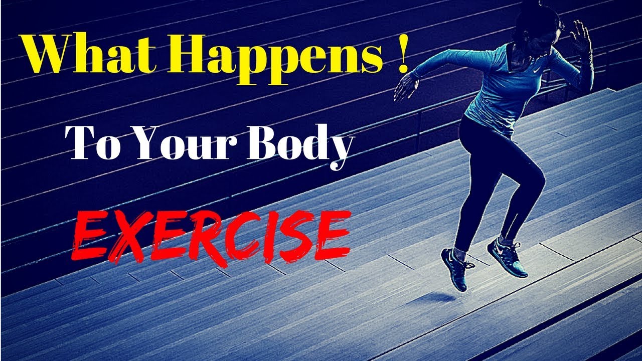 What Happens To Your Body When You EXERCISE AMAZING FACTS YouTube What Happens To Your Body When You EXERCISE AMAZING FACTS YouTube