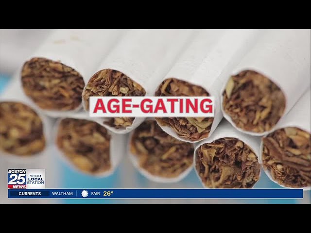 how much are electronic cigarettes How E-Cigarettes Work