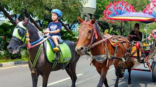 Naik Delman Istimewa  Lagu Anak Anak  Kuda Delman