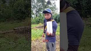 así se le echa el abono quimico #trabajoduro #abono #químicos #agricultura