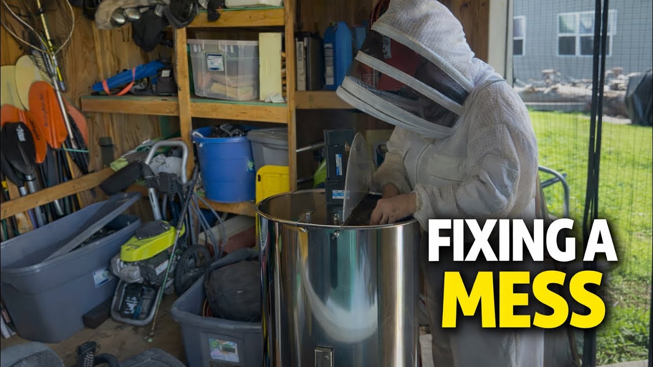 Fixing a Mess by Building “The Nest” | Homestead Shop Addition