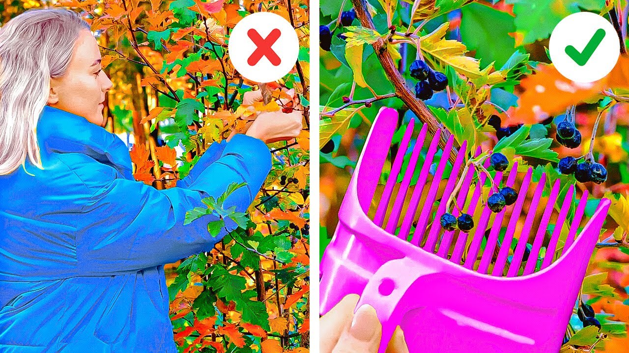 Useful Gardening Hacks And Gadgets That'll Make Your Life Easier - YouTube