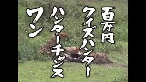 تحميل どうでしょう アフリカ تحميل どうでしょう アフリカ