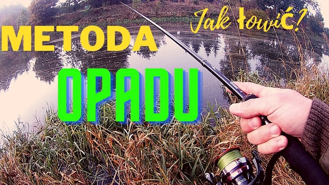 Metoda opadu, jak łowić z opadu // Poradnik