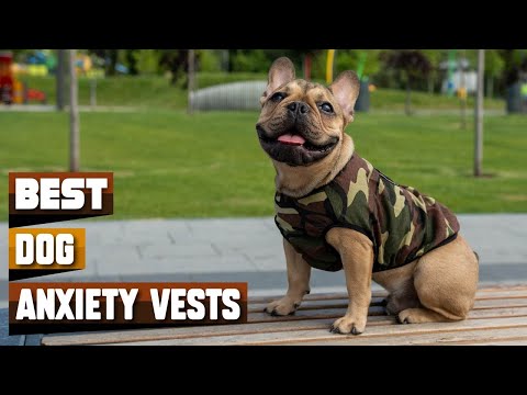Dog Anxiety Vest Best Selling Dog Anxiety Vests on Amazon