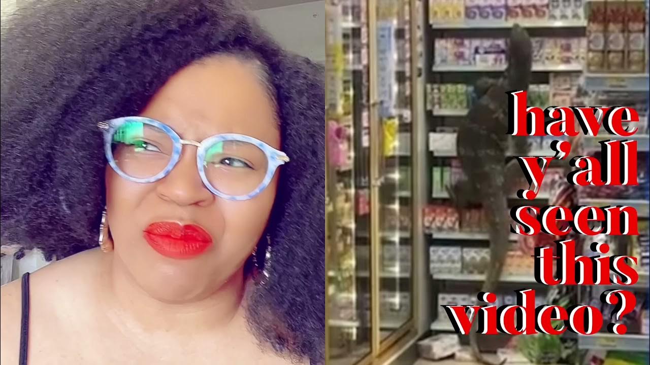 Monitor Lizard Raids 711 Convenience Store in Bangkok newyorkpost 