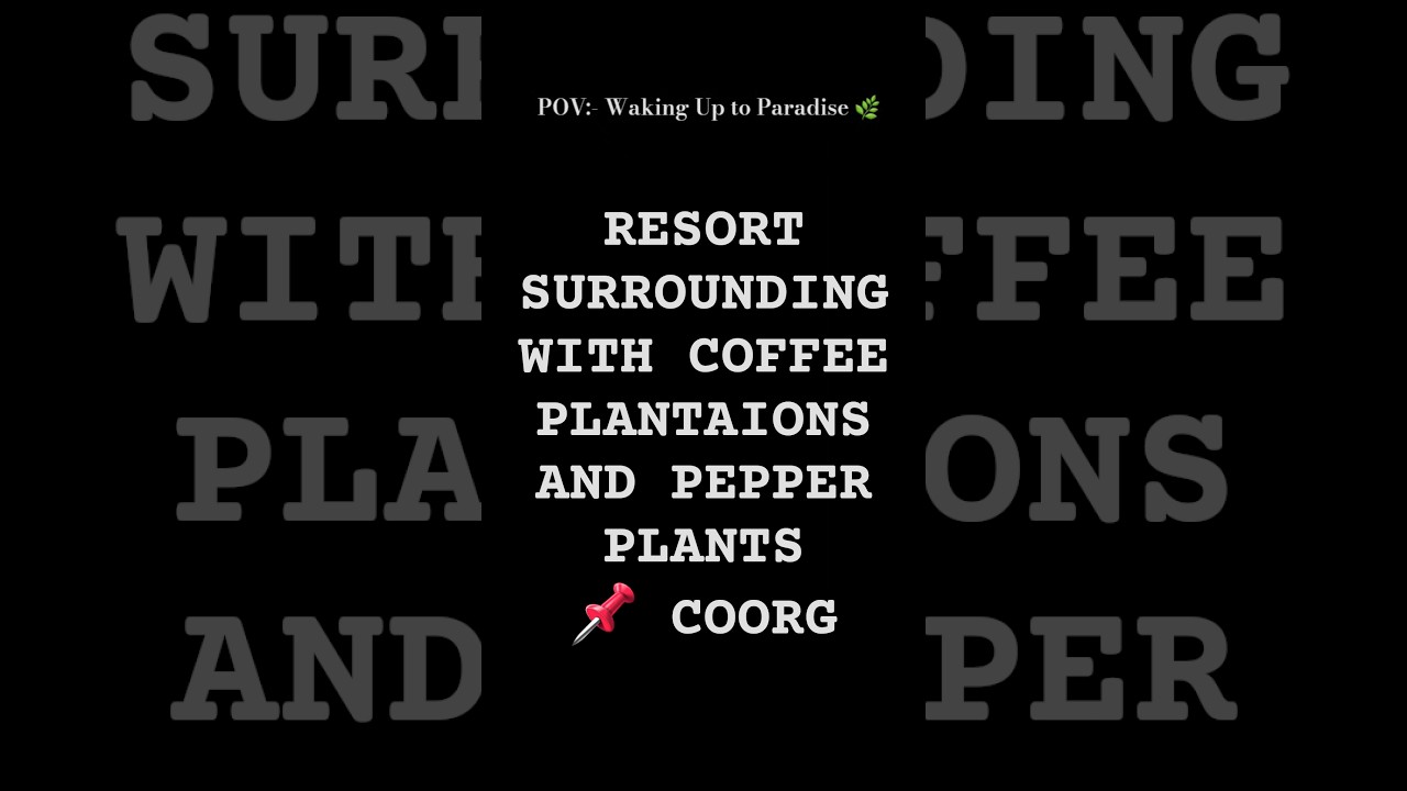 Coffee Plantation Morning View🌿Coorg, Karnataka