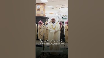 قبس من تراويح ليلة ١٠ رمضان ١٤٤٦هـ | تلاوة فضيلة الشيخ د.الوليد بن خالد الشمسان