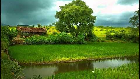 تلاوة للقارئ أحمد النفيسة سورة الكهف (21)(9)1435