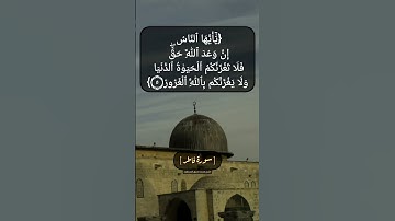 سورة فاطر الآية ٣ الى ٥ بصوت الشيخ محمد صديق المنشاوي