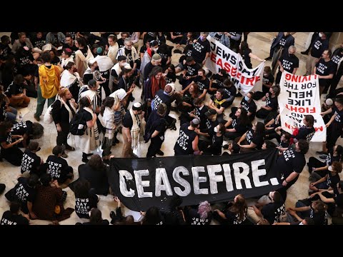 Pro-Palestine rally causes chaos at US Capitol