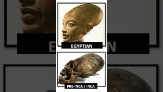 Египтологи Сказали Нет!