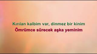 Zeki̇ Müren Aşkimiz Eski̇ Bi̇r Roman Karoeke