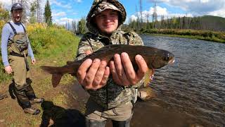 Рыбалка на хариуса и ленка в сентябре 2021#3. 4K. Fishing on a mountain river in  2021.