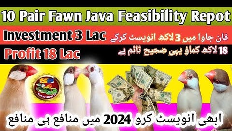Fawn Java 10 Pair Feasibility Report | Java Birds Business Plan | Profitable Birds Business