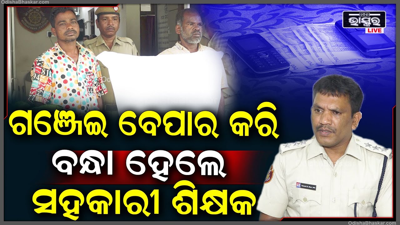 ରାଜଧାନୀରେ ଗଞ୍ଜେଇ ବେପାର କରୁଥିଲେ ସହକାରୀ ଶିକ୍ଷକ I ଗଞ୍ଜେଇ ଚାଲାଣ ଅଭିଯୋଗରେ ଗିରଫ କଲା ପୋଲିସ