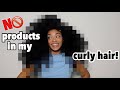 MY CURLY HAIR WITHOUT HAIR PRODUCTS! | jasmeannnn