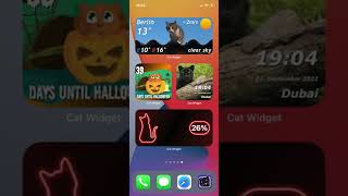 Cat Widget - World of Cats - iOS Widget App screenshot 1