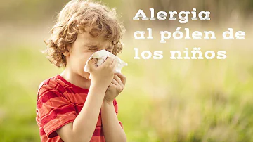 ¿Cuál es el mejor té para las alergias?