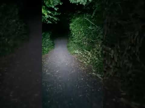 Walking down the Lane from Little Dawley Pools to Lightmoor, Telford, I nearly SH-T Myself 19.7.22