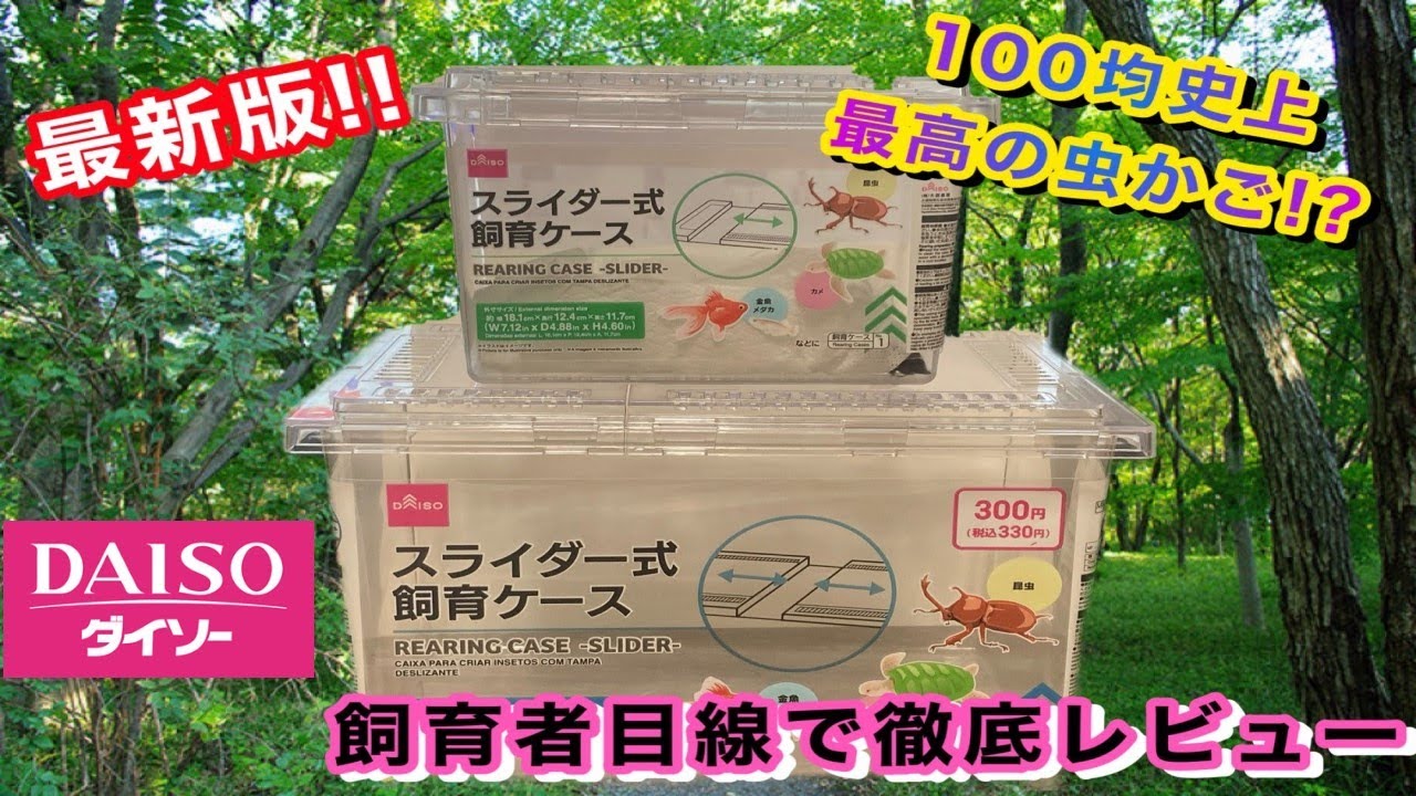 100均昆虫商品 クリアスライダー 今 話題沸騰中の虫かごをダイソーで買ってきたのでレビューします Ryu Stree 121 Daiso Youtube