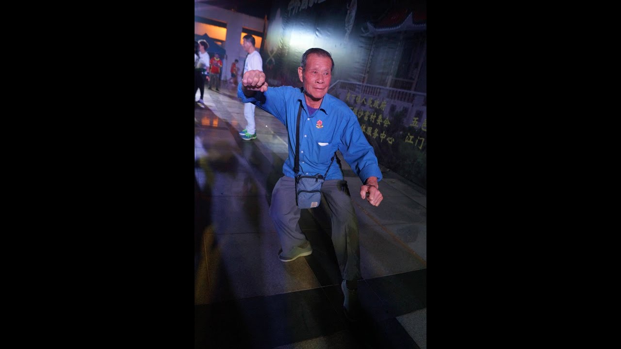 梁鑑光師父 - 虎鶴雙形拳 Tiger Crane Combined Fist (2005)