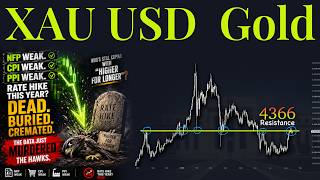 XAUUSD Gold Technical Analysis 17 to 21 August 2026