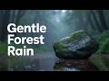 Sounds of Rain - Soothing Rain in the Woods
