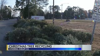 Christmas Tree Recycling